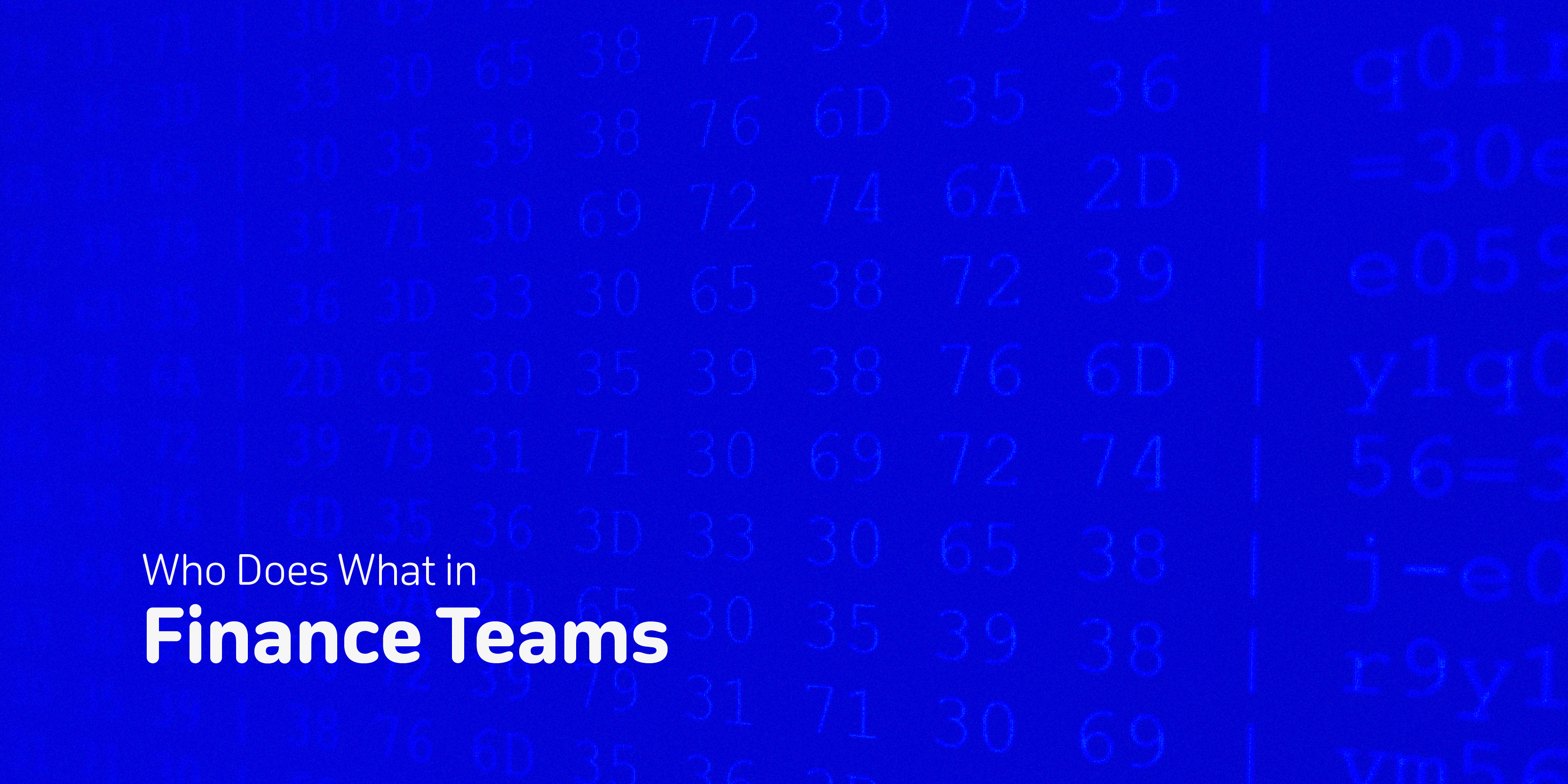 Blue Background "Who Does What in Finance Teams"